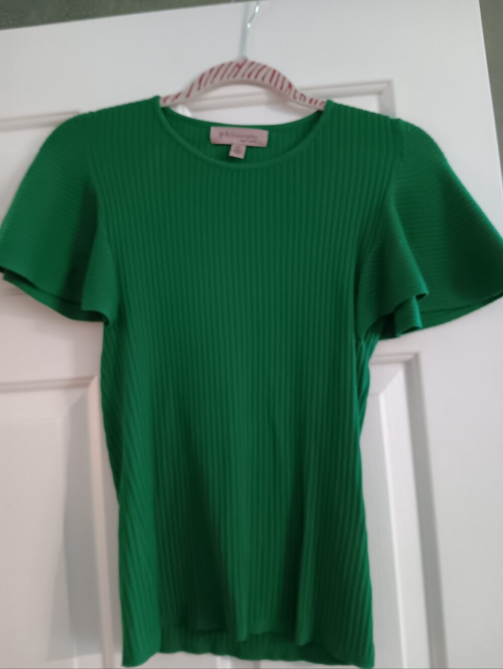 Philosophy small green blouse with ruffled sleeve